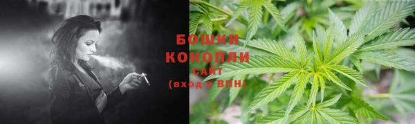 дурь Козловка