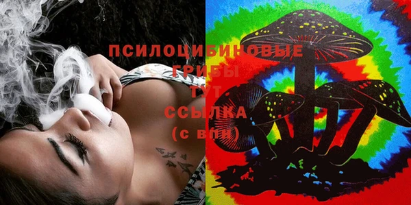 дурь Козловка