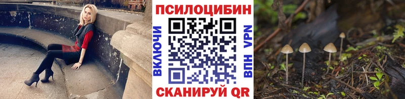Галлюциногенные грибы Psilocybe  купить наркотики сайты  Красавино 